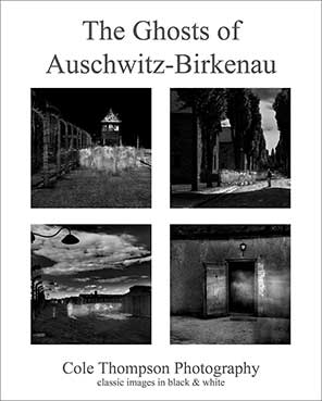 The Ghosts of Auschwitz-Birkenau poster