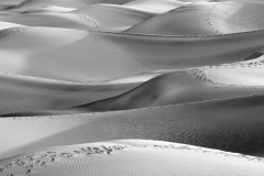 The Dune Most Travelled 1