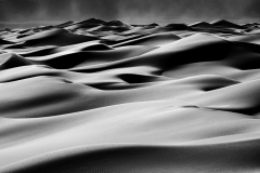 Dunes of Nude No 217