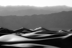 Dunes of Nude No 254