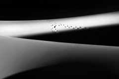 Dunes of Nude No. 304