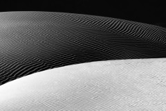 Dunes of Nude No 310