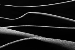 Dunes of Nude No 312