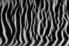 Dunes of Nude No 320