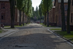 Auschwitz No. 3 - Eye