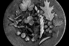 Plate of Leaves - Vision