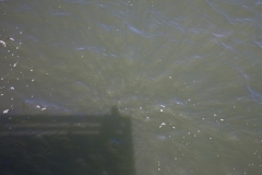 The End of the Pier - Eye