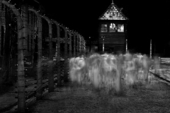 Auschwitz No 14 - Vision