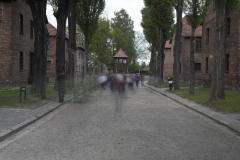 Auschwitz No 14 - Eye