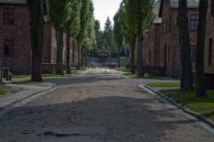 Auschwitz No 3 - Eye