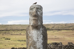 Moai Sitting for Portrait No 2 - Eye