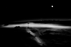 Windmill in Moonlight - Vision