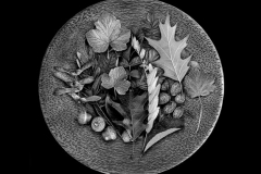 Plate of Leaves