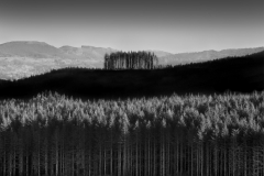 Isolated No 3
