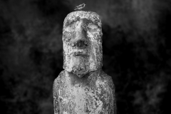 Moai Sitting for Portrait No 2