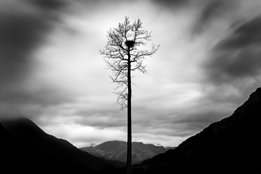 Isolated No 21