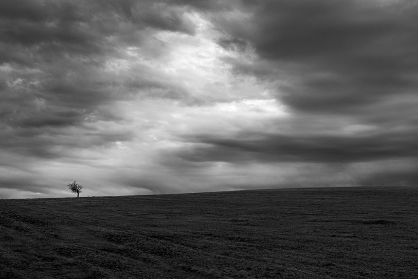 Isolated No 29