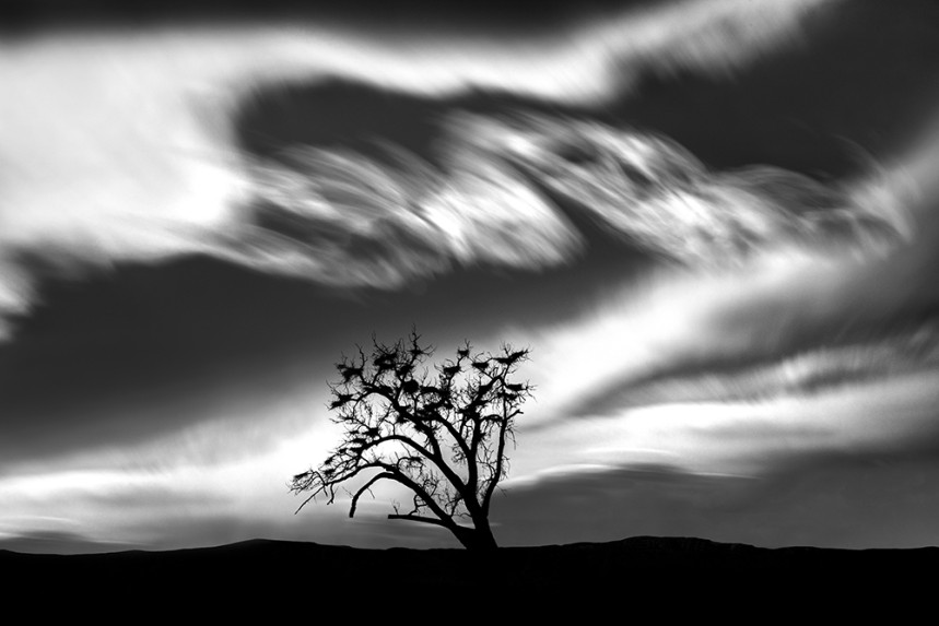 Isolated No 25