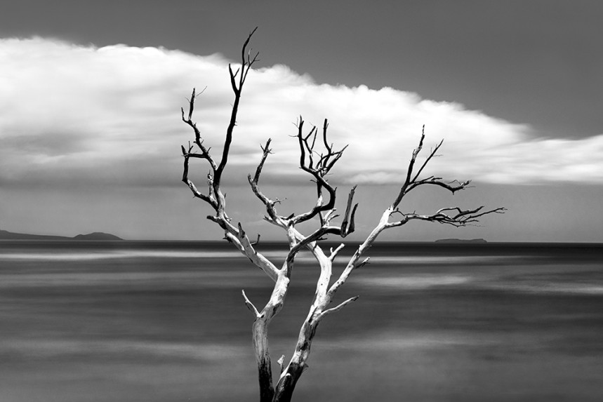 Isolated No 28