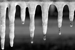 Icicles