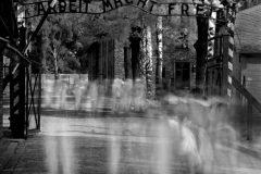 Auschwitz No 11