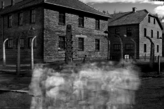 Auschwitz No 12