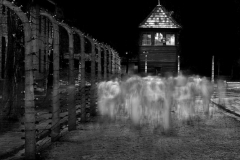 Auschwitz No 14