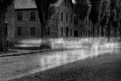 Auschwitz No 15