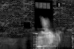 Auschwitz No 8