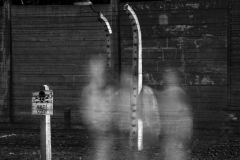 Auschwitz No 9