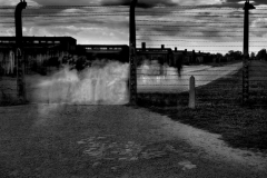 Birkenau No 2
