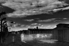 Birkenau No 3