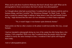Artist Statement - The Ghosts of Auschwitz-Birkenau