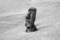 Moai at Rano Raraku No 15