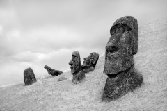 Moai at Rano Raraku No 3