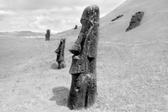 Moai at Rano Raraku No 7