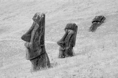 Moai at Rano Raraku No 8