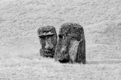 Moai at Rano Raraku No 9